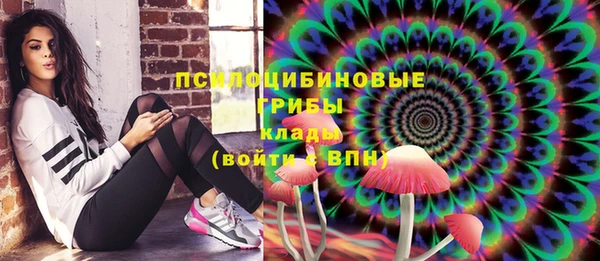 герыч Бородино