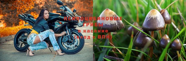 бошки Богородск