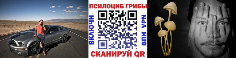 хочу   мега ТОР  Галлюциногенные грибы Psilocybine cubensis  Верхний Уфалей 